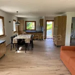 Rent 3 bedroom apartment of 90 m² in Ayas