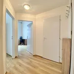 Pronajměte si 3 ložnic/e byt o rozloze 43 m² v Brno