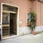 Rent 1 bedroom apartment in Rome