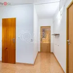 Rent 2 bedroom apartment of 42 m² in Mělník