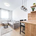 Najam 1 spavaće sobe stan od 34 m² u Zagreb