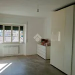 Affitto 5 camera appartamento di 110 m² in Colleferro