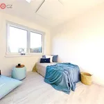 Rent 2 bedroom apartment of 49 m² in Trhový Štěpánov