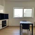 Rent 1 bedroom apartment of 35 m² in Campobasso