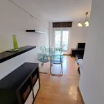 Rent 1 bedroom apartment of 50 m² in Bilbao