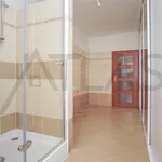 Rent 6 bedroom house of 350 m² in Prague