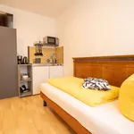 Rent 1 bedroom apartment of 20 m² in Bremen