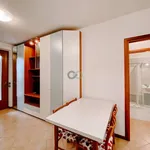 Rent 2 bedroom apartment of 53 m² in Desenzano del Garda