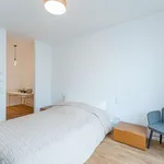 Rent 1 bedroom apartment of 53 m² in berlin