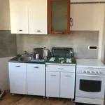 Rent 2 bedroom apartment of 70 m² in Turin