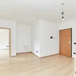 Rent 2 bedroom apartment of 60 m² in Roma