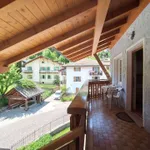 Rent 1 bedroom apartment of 20 m² in Ville di Fiemme