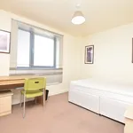 Rent 2 bedroom flat in Sheffield