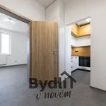 Pronájem bytu 2+1 45m²