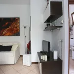 Rent 1 bedroom apartment of 34 m² in Novara