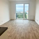 Pronajměte si 1 ložnic/e byt o rozloze 25 m² v Prague