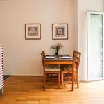 25 m² Studio in cologne