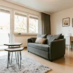 Rent 1 bedroom apartment of 50 m² in Celle