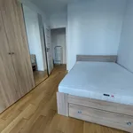 Rent 3 bedroom apartment of 63 m² in Warszawa