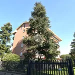 Rent 4 bedroom apartment of 150 m² in Roma