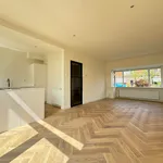 Rent 5 bedroom house of 102 m² in Breukelen Midden