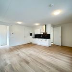 Huur 1 slaapkamer appartement van 53 m² in Helmond