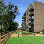 Flat to rent in Riverwell Close, Watford WD18