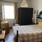 Alugar 4 quarto apartamento em Coimbra