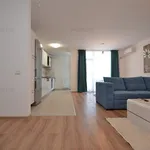 Rent 2 bedroom apartment of 58 m² in Timișoara