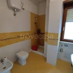 Rent 3 bedroom apartment of 60 m² in Cassino