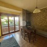 Rent 2 bedroom apartment of 70 m² in Anzio