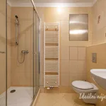 Rent 1 bedroom apartment in Praha 4