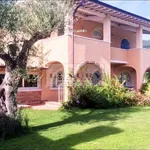 Rent 13 bedroom house of 400 m² in Pietrasanta