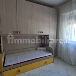 Rent 3 bedroom apartment of 80 m² in Novara