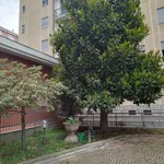 Rent 3 bedroom apartment of 80 m² in Turin