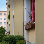 Rent 2 bedroom apartment of 47 m² in Leipzig