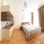 Rent 1 bedroom apartment in Prague