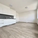 Rent 1 bedroom apartment in Brno