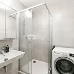 Rent 1 bedroom apartment in Prague