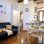 Rent 3 bedroom apartment of 75 m² in Pisa