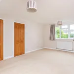 Rent 2 bedroom house of 67 m² in Winchester