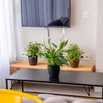 Rent 1 bedroom apartment of 30 m² in Málaga