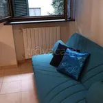 Rent 2 bedroom apartment of 40 m² in Rosignano Marittimo