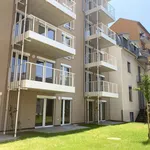 Rent 2 bedroom apartment of 55 m² in Graz