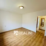 Rent 1 bedroom apartment of 30 m² in Ostrava