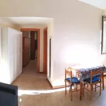 Rent 2 bedroom apartment of 45 m² in Roma