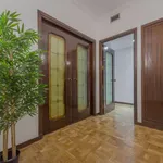 Rent a room of 220 m² in madrid