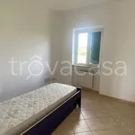 Rent 3 bedroom apartment of 74 m² in Zagarolo