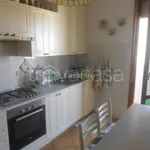 Rent 5 bedroom apartment of 110 m² in Padova