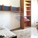 Rent 5 bedroom apartment of 95 m² in Ancona